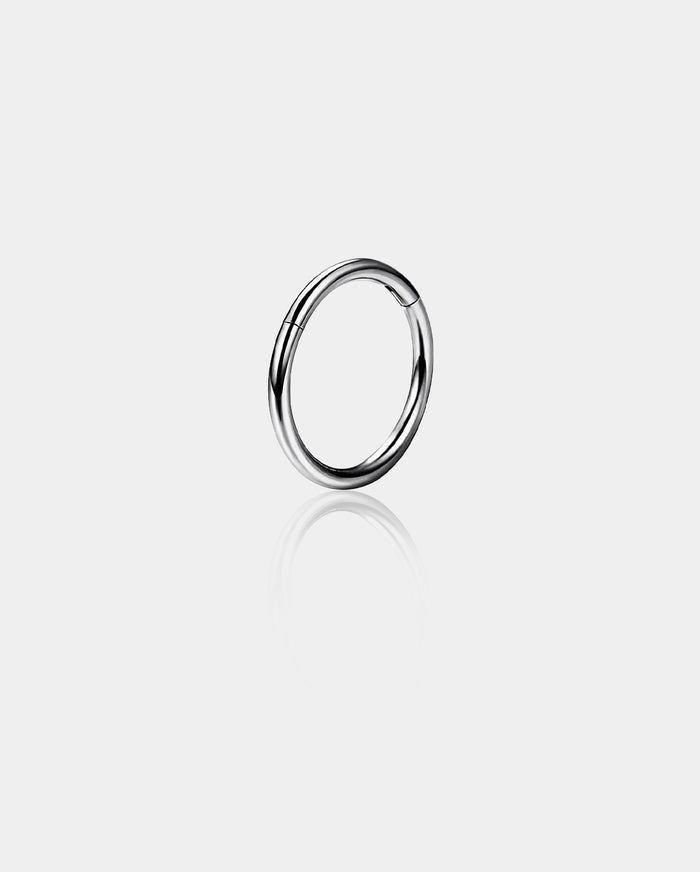 20G Titanium Hinged Segment Nose Ring