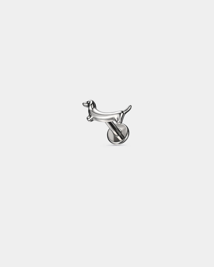 Dachshund cartilage stud