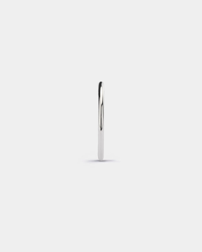 Double Row Hinged Segment Nose Hoop