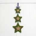 Evergreen Star Door Hanger