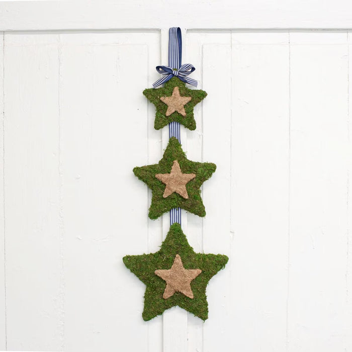 Evergreen Star Door Hanger