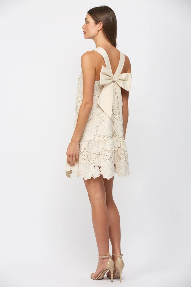 Floral Eyelet Bow-Back Mini Dress