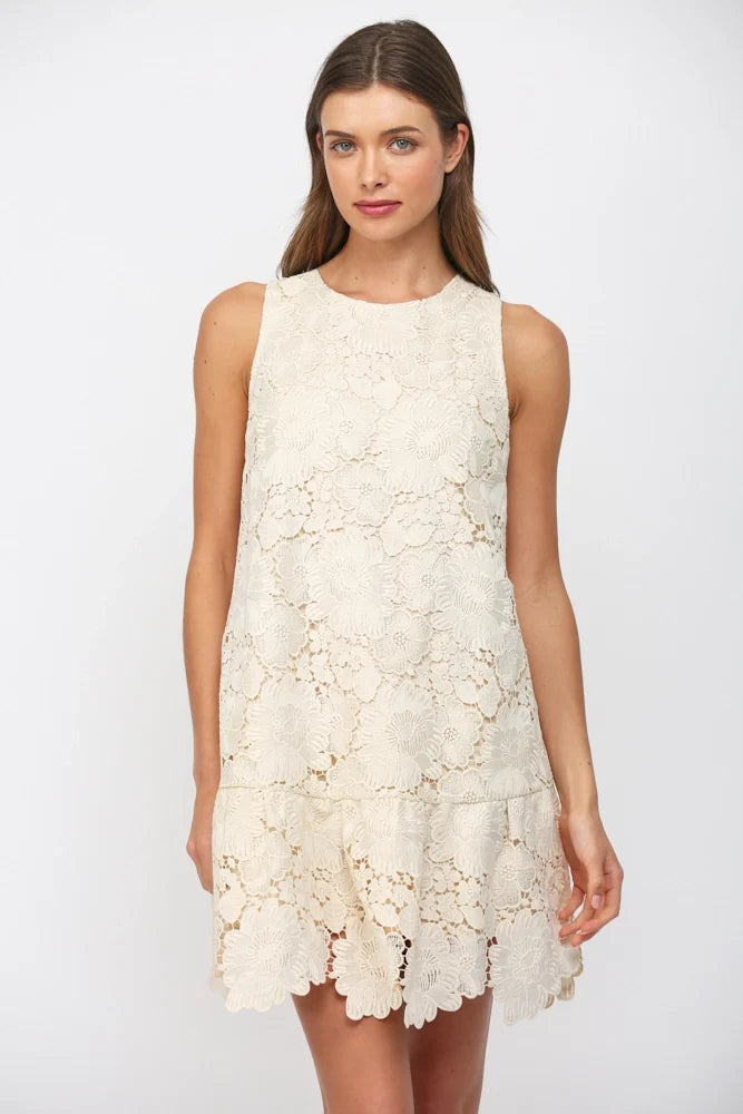 Floral Eyelet Bow-Back Mini Dress