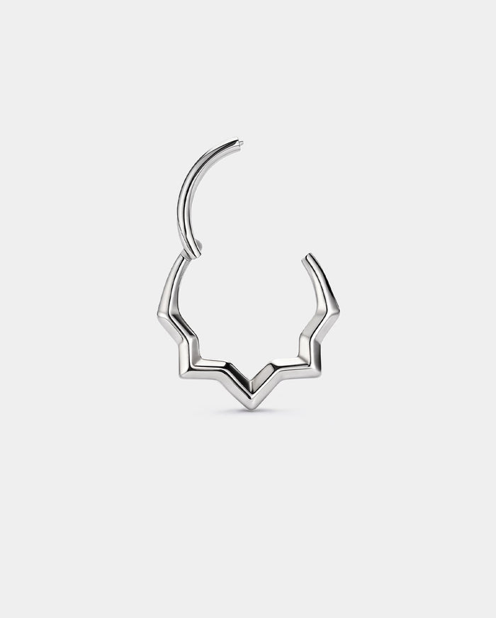 hinged segment 316l stainless steel hoop