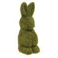 Mossy Bunny