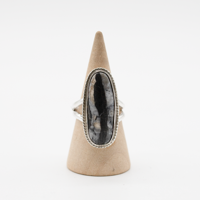 Nightfall Oval — Size 6