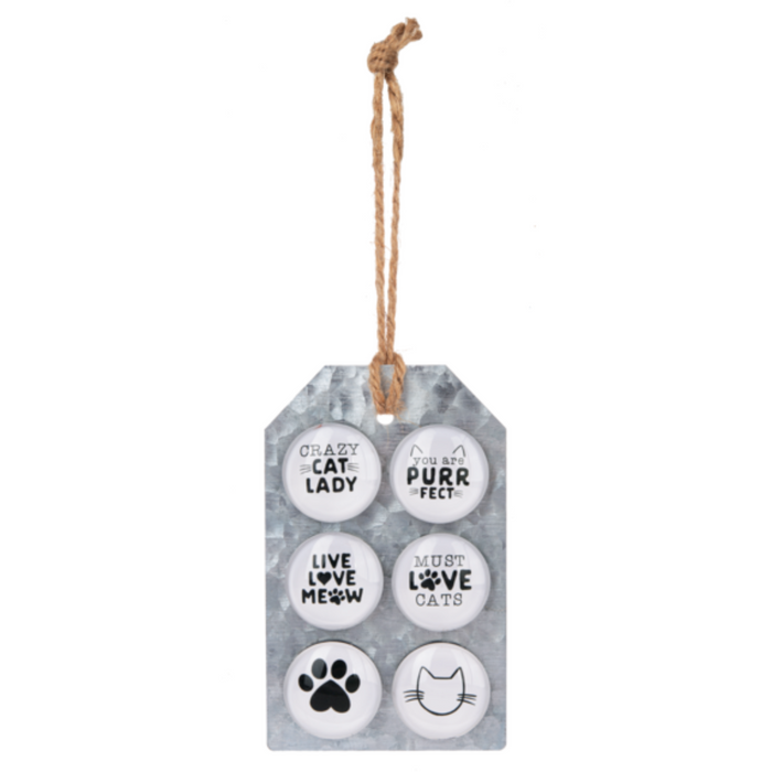 Set of 6 Decorative Magnets