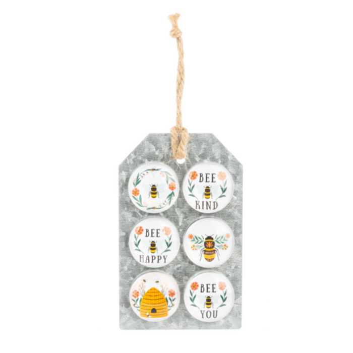 Set of 6 Decorative Magnets