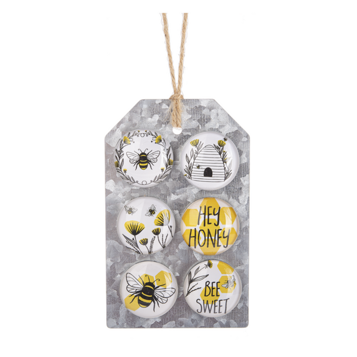Set of 6 Decorative Magnets
