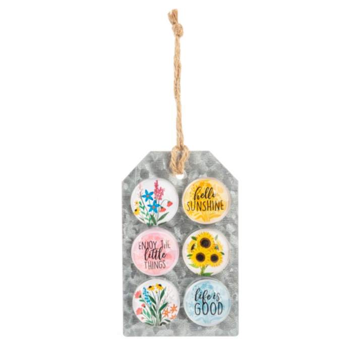 Set of 6 Decorative Magnets