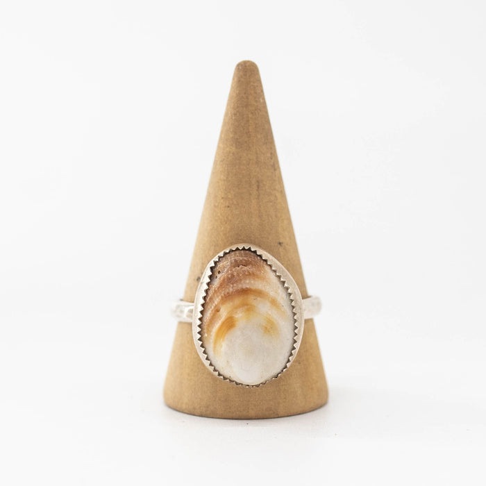 Shell Ring - Size 9.5