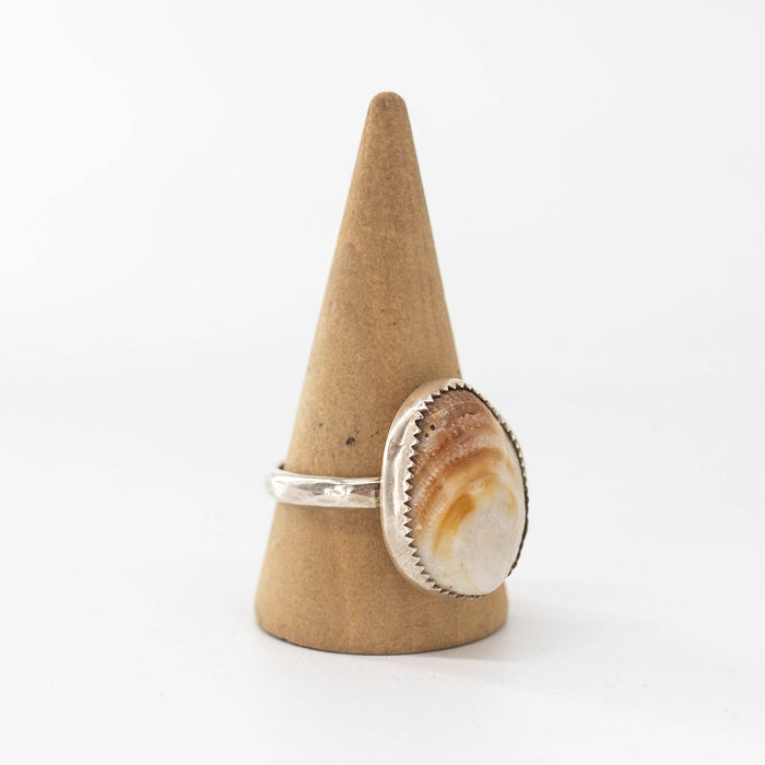 Shell Ring - Size 9.5