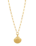Shoreline Gold Shell Necklace