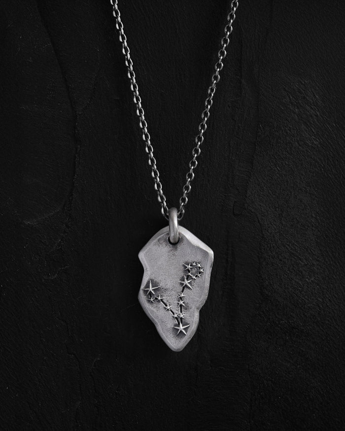 Silver pendant PISCES CONSTELLATION on a chain